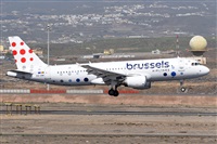 Miguel A. gueda Rguez.  (CANARY ISLANDS SPOTTING). Click to see full size photo
