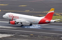 Miguel A. gueda Rguez.  (CANARY ISLANDS SPOTTING). Click to see full size photo