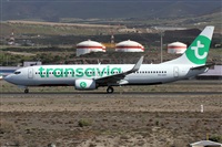©Alfonso Solís - Asociación Canary Islands Spotting. Click to see full size photo ©Alfonso Solís - Asociación Canary Islands Spotting. Click to see full size photo