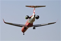Cele -Noisy Spotters. Click to see full size photo