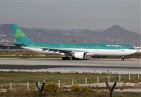 Cele -Noisy Spotters. Click to see full size photo