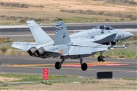 ©Adolfo Bento - Gran Canaria Spotters. Click to see full size photo ©Adolfo Bento - Gran Canaria Spotters. Click to see full size photo