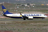 ©Alfonso Solís - Asociación Canary Islands Spotting. Click to see full size photo ©Alfonso Solís - Asociación Canary Islands Spotting. Click to see full size photo