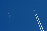 Jos Miguel Bernases - Noisy Spotters. Click to see full size photo
