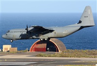 Alejandro H.L - Gran Canaria Spotters. Click to see full size photo