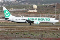 ©Alfonso Solís - Asociación Canary Islands Spotting. Click to see full size photo ©Alfonso Solís - Asociación Canary Islands Spotting. Click to see full size photo