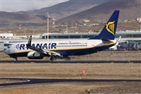 Alfonso Sols - Asociacin Canary Islands Spotting. Click to see full size photo