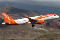 Alfonso Sols - Asociacin Canary Islands Spotting. Click to see full size photo