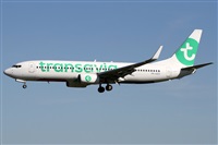 ©Alfonso Solís - Asociación Canary Islands Spotting. Click to see full size photo ©Alfonso Solís - Asociación Canary Islands Spotting. Click to see full size photo