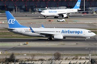 ©Alfonso Solís - Asociación Canary Islands Spotting. Click to see full size photo ©Alfonso Solís - Asociación Canary Islands Spotting. Click to see full size photo
