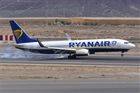 Miguel A. gueda Rguez.  (CANARY ISLANDS SPOTTING). Click to see full size photo