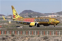 ©Alfonso Solís - Asociación Canary Islands Spotting. Click to see full size photo ©Alfonso Solís - Asociación Canary Islands Spotting. Click to see full size photo