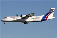 ©Alfonso Solís - Asociación Canary Islands Spotting. Click to see full size photo ©Alfonso Solís - Asociación Canary Islands Spotting. Click to see full size photo