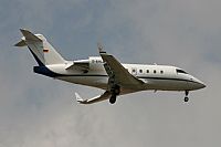 Cele -Noisy Spotters. Click to see full size photo
