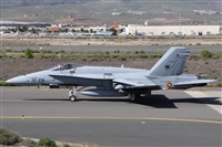 ©Alfonso Solís - Asociación Canary Islands Spotting. Click to see full size photo ©Alfonso Solís - Asociación Canary Islands Spotting. Click to see full size photo