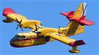 ©Alejandro H.L - Gran Canaria Spotters. Click to see full size photo ©Alejandro H.L - Gran Canaria Spotters. Click to see full size photo