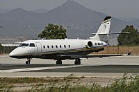 Cele -Noisy Spotters. Click to see full size photo