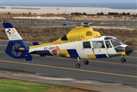 Agustin Delgado Ramos-  Canary Islands Spotting -. Click to see full size photo