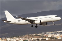©Adolfo Bento - Gran Canaria Spotters. Click to see full size photo ©Adolfo Bento - Gran Canaria Spotters. Click to see full size photo