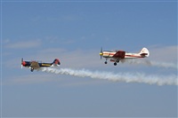 Carlos Moreira  *  PortugalSpotters.org. Click to see full size photo