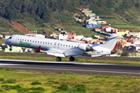 Saimon J Rodriguez   -   Canary Islands Spotting. Click to see full size photo