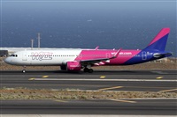 ©Alfonso Solís - Asociación Canary Islands Spotting. Click to see full size photo ©Alfonso Solís - Asociación Canary Islands Spotting. Click to see full size photo