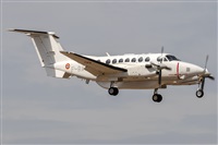 ©Adolfo Bento - Gran Canaria Spotters. Click to see full size photo ©Adolfo Bento - Gran Canaria Spotters. Click to see full size photo