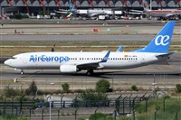©Alfonso Solís - Asociación Canary Islands Spotting. Click to see full size photo ©Alfonso Solís - Asociación Canary Islands Spotting. Click to see full size photo