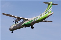 ©Alfonso Solís - Asociación Canary Islands Spotting. Click to see full size photo ©Alfonso Solís - Asociación Canary Islands Spotting. Click to see full size photo