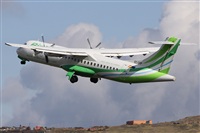 Alfonso Sols - Asociacin Canary Islands Spotting. Click to see full size photo