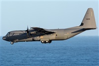 ©Adolfo Bento - Gran Canaria Spotters. Click to see full size photo ©Adolfo Bento - Gran Canaria Spotters. Click to see full size photo