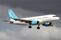 ©Alfonso Solís - Asociación Canary Islands Spotting. Click to see full size photo ©Alfonso Solís - Asociación Canary Islands Spotting. Click to see full size photo