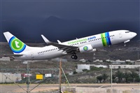 Miguel A. gueda Rguez.  (CANARY ISLANDS SPOTTING). Click to see full size photo