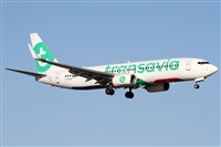 ©Alfonso Solís - Asociación Canary Islands Spotting. Click to see full size photo ©Alfonso Solís - Asociación Canary Islands Spotting. Click to see full size photo