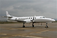 Cele -Noisy Spotters. Click to see full size photo