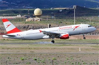 Miguel A. gueda Rguez.  (CANARY ISLANDS SPOTTING). Click to see full size photo