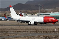 ©Alfonso Solís - Asociación Canary Islands Spotting. Click to see full size photo ©Alfonso Solís - Asociación Canary Islands Spotting. Click to see full size photo
