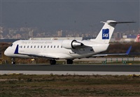 Cele -Noisy Spotters. Click to see full size photo