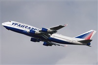 Cele -Noisy Spotters. Click to see full size photo