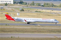 Miguel A. gueda Rguez.  (CANARY ISLANDS SPOTTING). Click to see full size photo