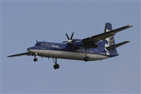 Jos Miguel Bernases - Noisy Spotters. Click to see full size photo