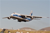 Javier de la Cruz - CANARY ISLANDS SPOTTING. Click to see full size photo
