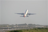 Jos Miguel Bernases - Noisy Spotters. Click to see full size photo