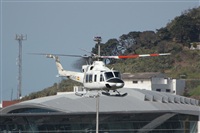 Chalo Canary Islands Spotting. Click to see full size photo