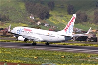 Chalo Canary Islands Spotting. Click to see full size photo