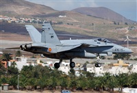 Alejandro H.L - Gran Canaria Spotters. Click to see full size photo