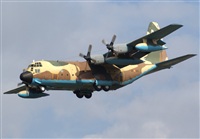 H.volar. Click to see full size photo