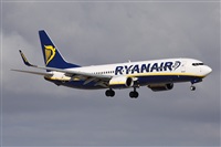 Alfonso Sols - Asociacin Canary Islands Spotting. Haz click para ampliar