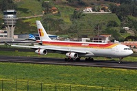 Miguel A. gueda Rguez.  (CANARY ISLANDS SPOTTING). Click to see full size photo