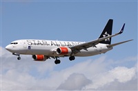 Alfonso Sols - Asociacin Canary Islands Spotting. Click to see full size photo